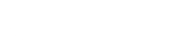 a1